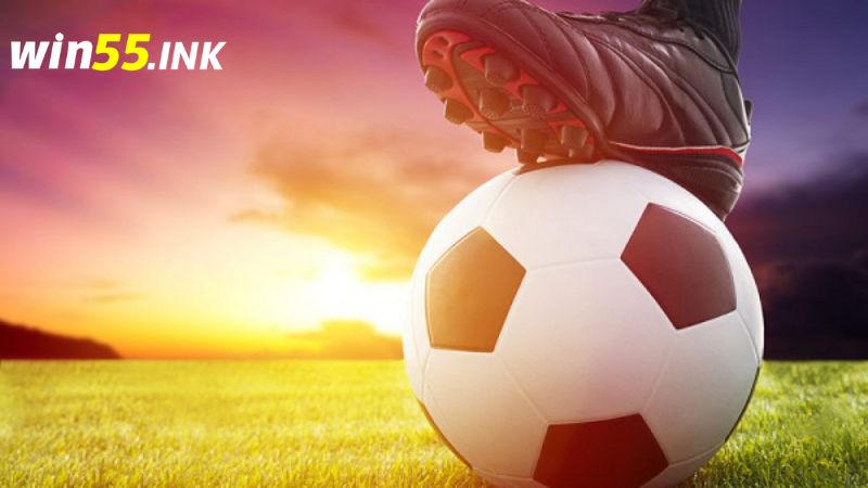 Cần phải nắm chắc các quy luật cá cược