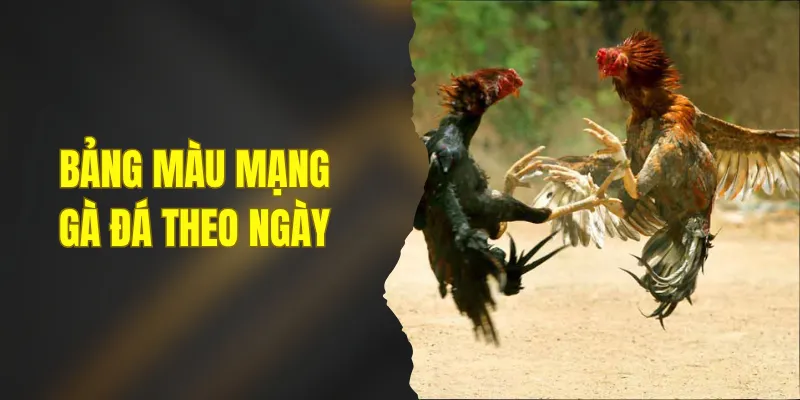 Bảng Màu Mạng Gà Đá Theo Ngày - 5 Yếu Tố Vàng Chọn Kê