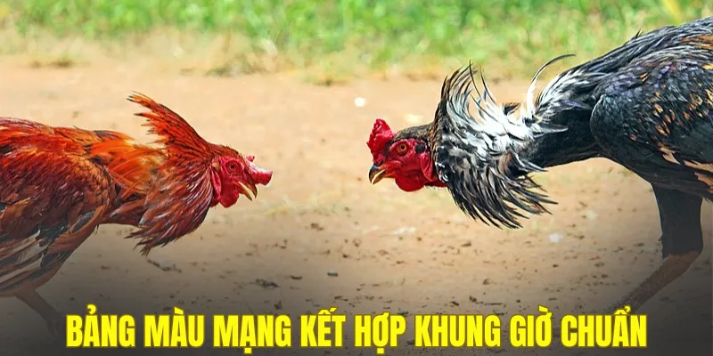 Bảng màu mạng gà đá theo ngày kết hợp khung giờ chuẩn