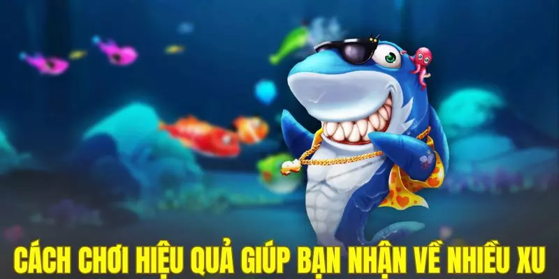 Cách chơi hiệu quả giúp bạn nhận về nhiều xu