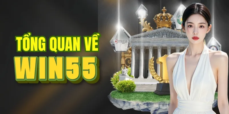 Giới thiệu tổng quan về WIN55