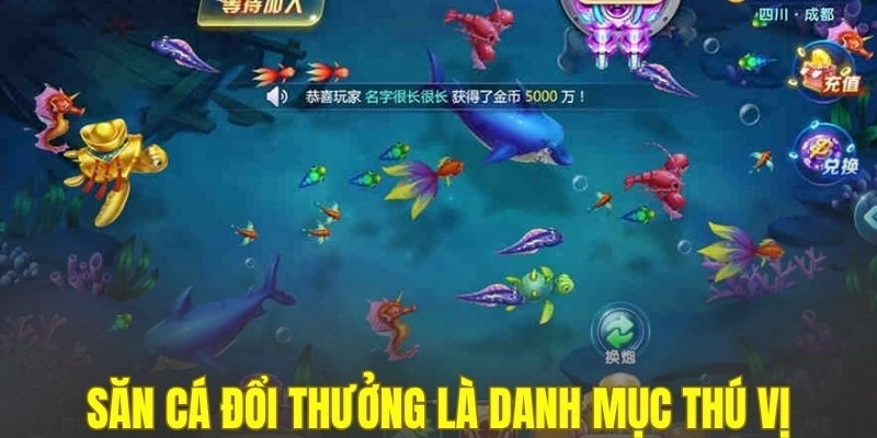 Săn cá đổi thưởng là danh mục thú vị