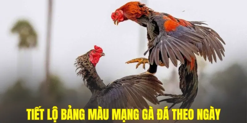 Tiết lộ bảng màu mạng gà đá theo ngày
